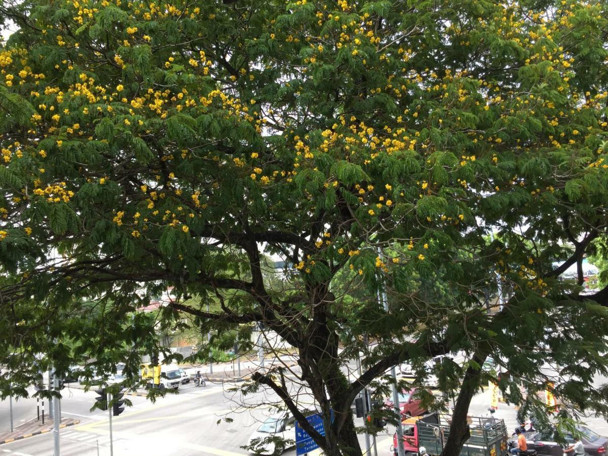 Macallum Budget Muslim George Town